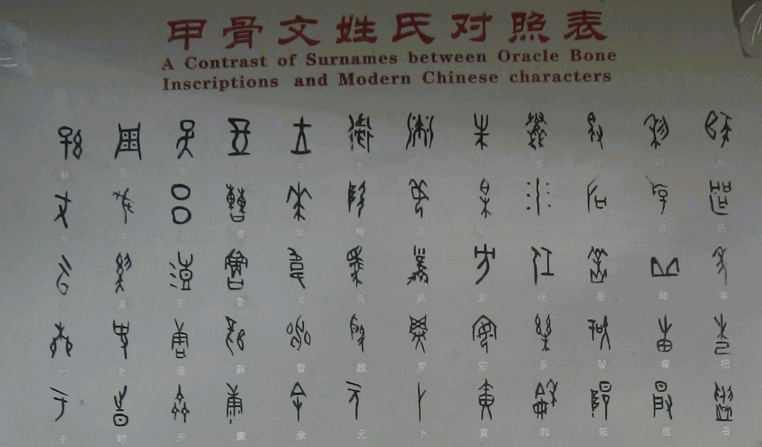 甲骨文姓氏对照表