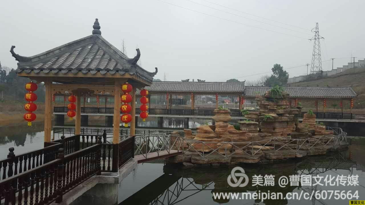 文章图片