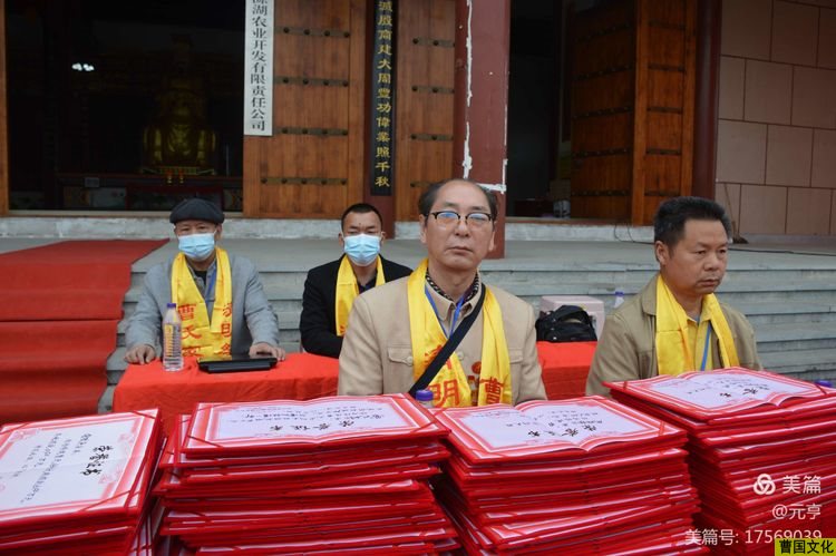 文章图片