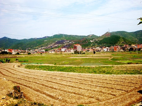 文章图片