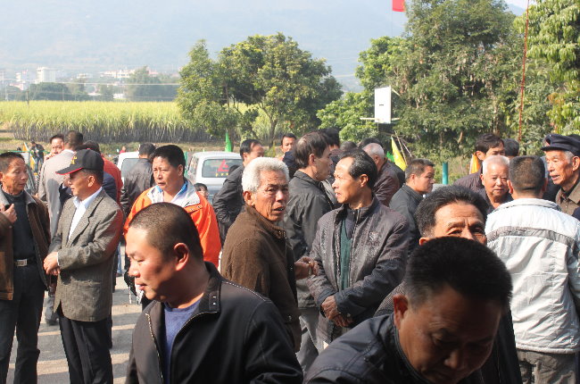 文章图片