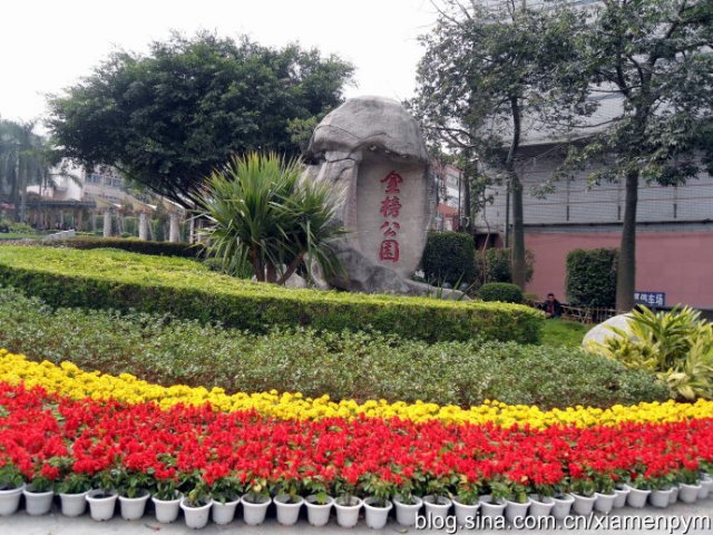 文章图片