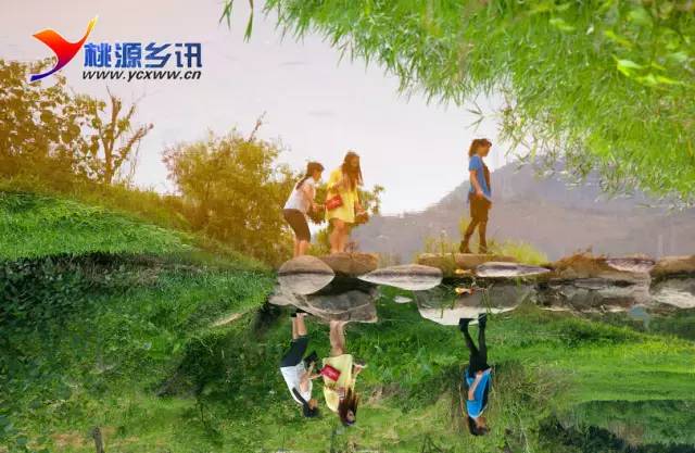 文章图片