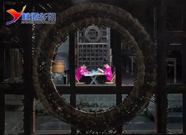 文章图片