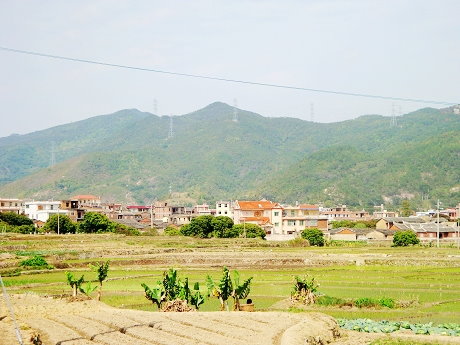 文章图片