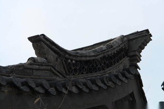 x10000_698f738c4751aae678_02.jpg