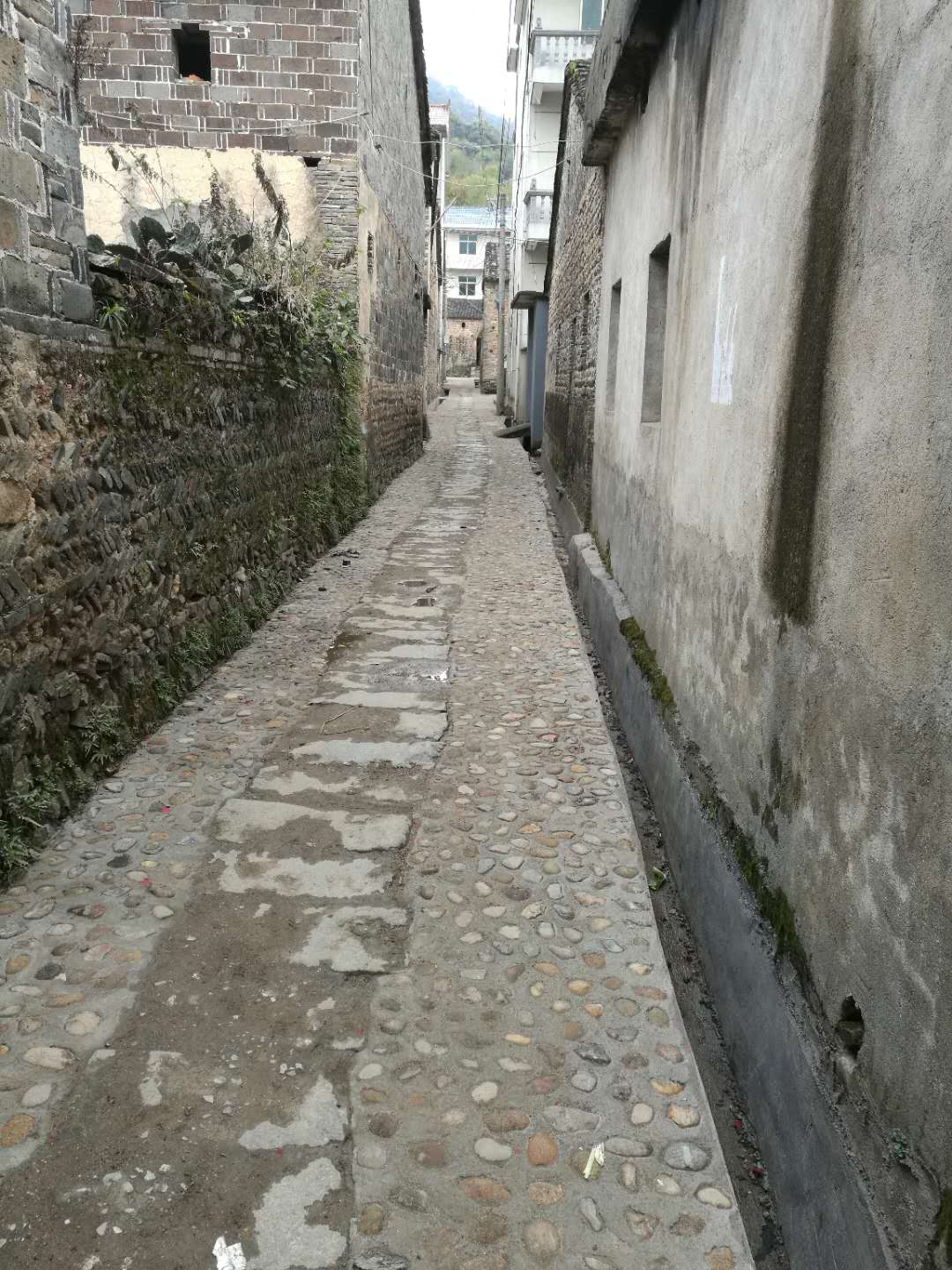 323f58277f2454e7_00_22c9af6ac023.jpg
