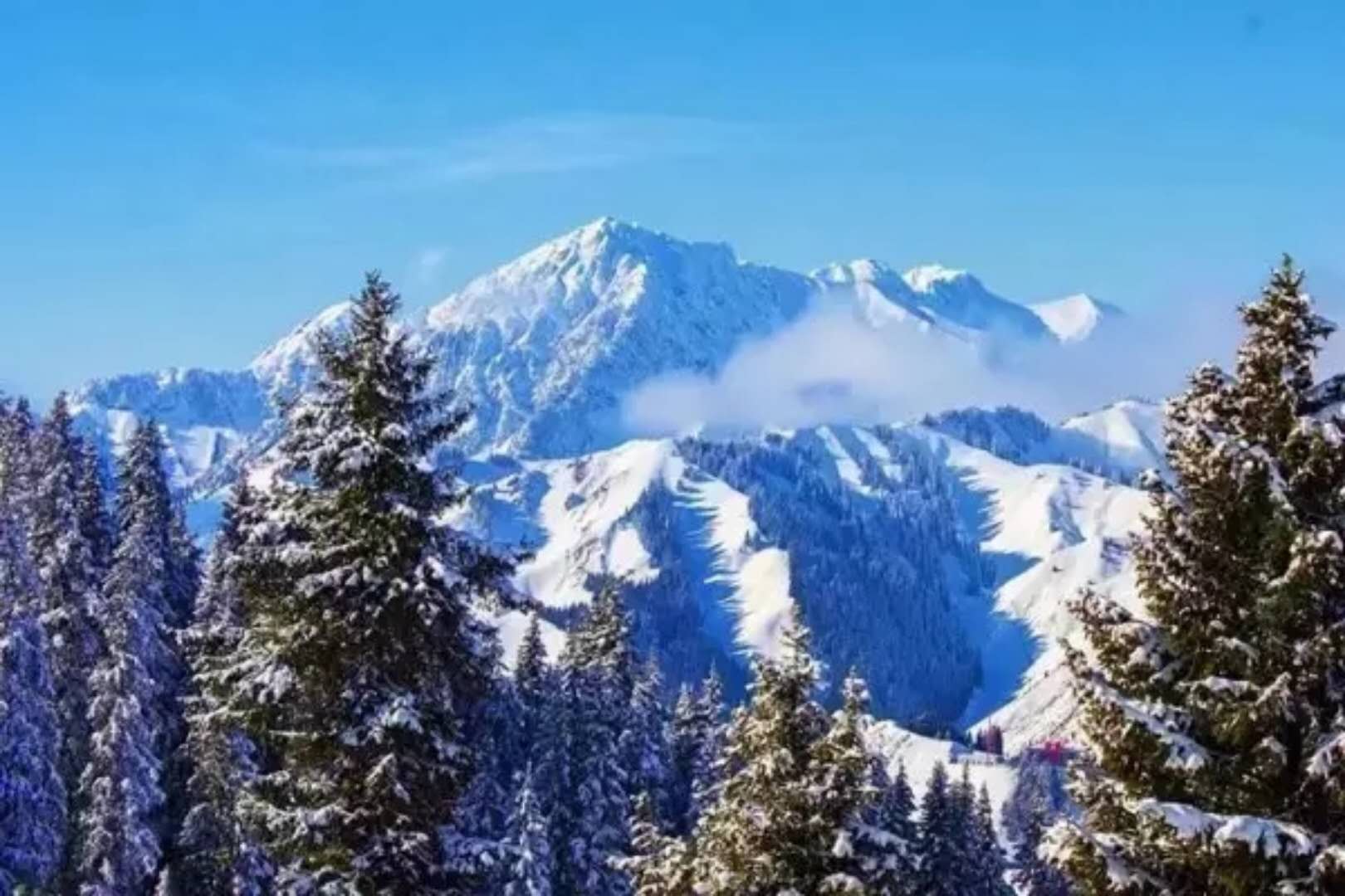 4976791e474f2879_05_a00f42ac7828.jpg