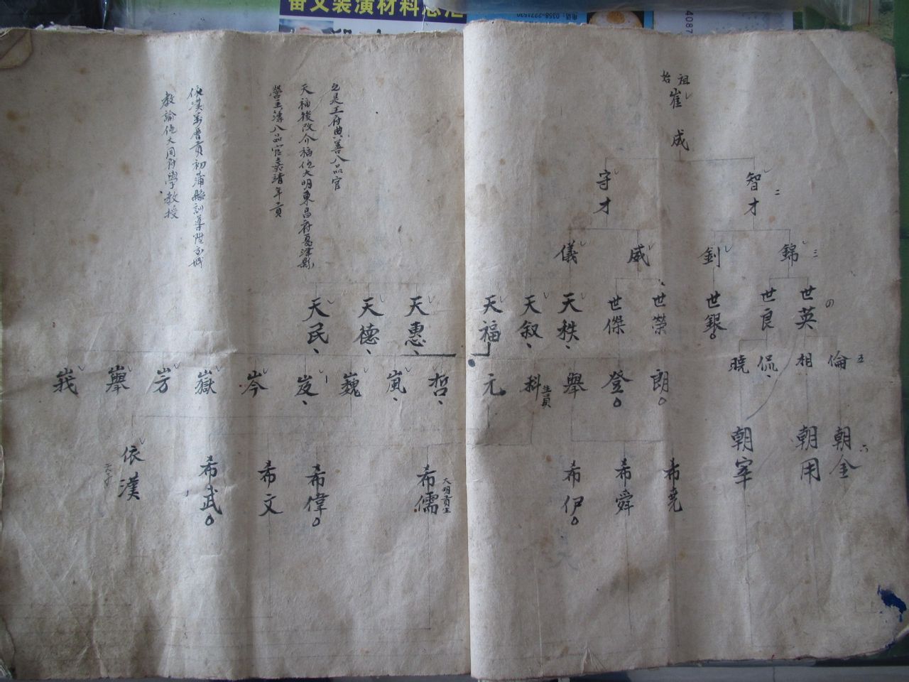 chinacui_18865_2_aa33faeca0b8.jpg