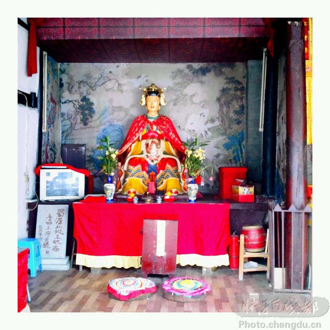 chinacui_19396_13_0d5d60791d3c.jpg