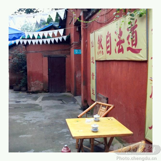 chinacui_19396_6_262fad091e66.jpg