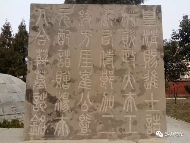chinacui_41559_23_2e6ab7022af7.jpg