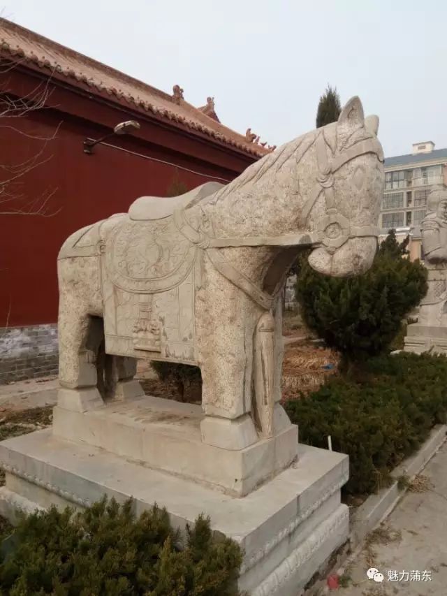 chinacui_41559_25_660a2e7391a9.jpg