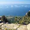 chinacui_42727_2_e0e80c959e04.png