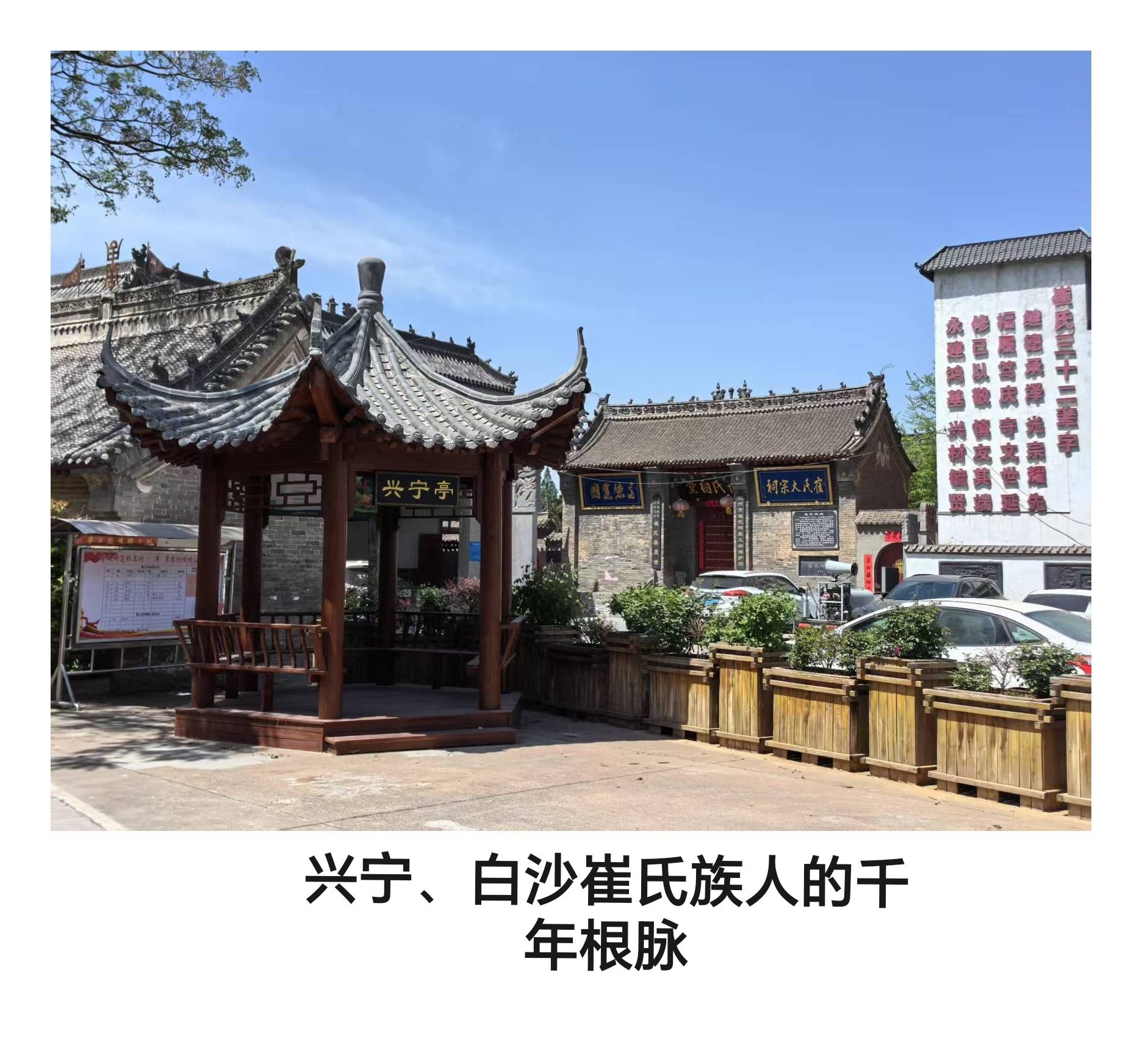 chinacui_43002_2_72a484f893eb.jpg