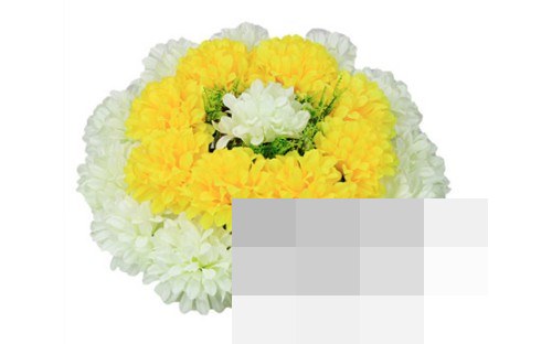 cns_5d6a8bd0340238db95_00.jpg