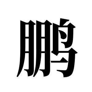 cnuu_e230cf966f2ea8373a_00.jpg