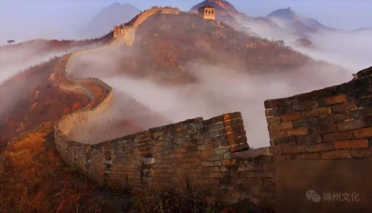 diaoshanghai_10803_68cfc4950138.png