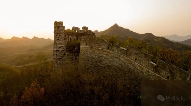 diaoshanghai_10811_d77e51a8c48c.png