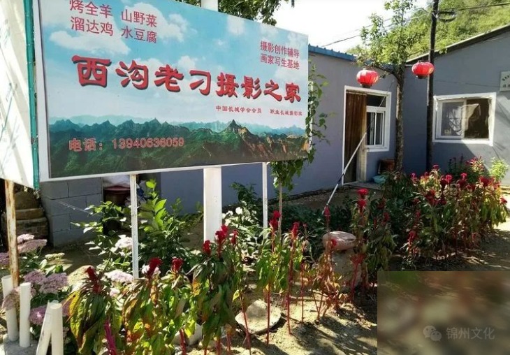 diaoshanghai_10812_42b23d9467fe.png