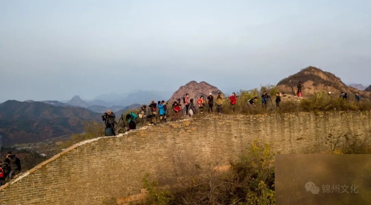 diaoshanghai_10814_1d5cdeebeec9.png