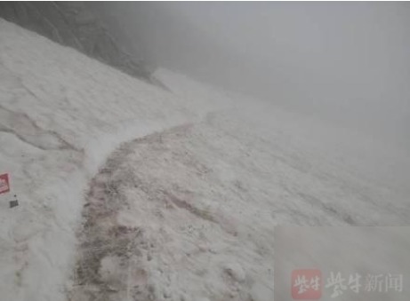 diaoshanghai_10902_f7fd8d23793e.png