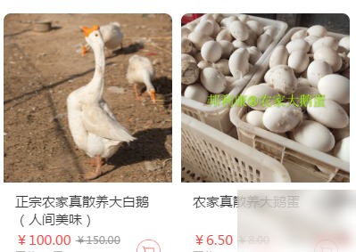diaoshanghai_11403_12ad83b149ea.png