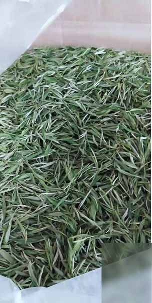 diaoshanghai_11802_ef4ba7d137ea.png
