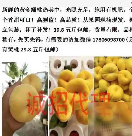 diaoshanghai_15901_52f3bbe21c88.png