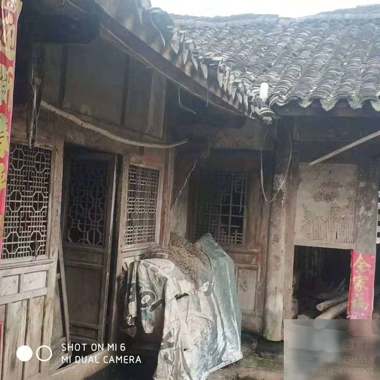 diaoshanghai_2816_991164c498dc.jpg