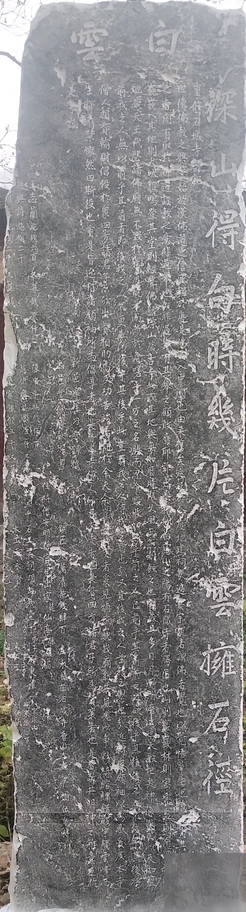 diaoshanghai_6002_76fece54bd10.png