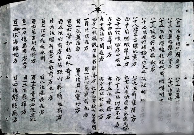 diaoshanghai_6107_bfe4c7787ee5.jpg