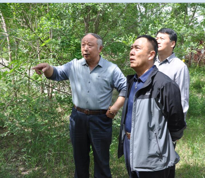 山东房氏宗亲联谊会走访东阿鱼山房氏收集资料指导企业.jpg
