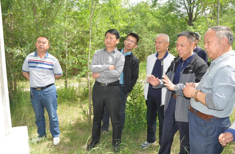 山东房氏宗亲联谊会走访东阿鱼山房氏收集资料指导企业.jpg
