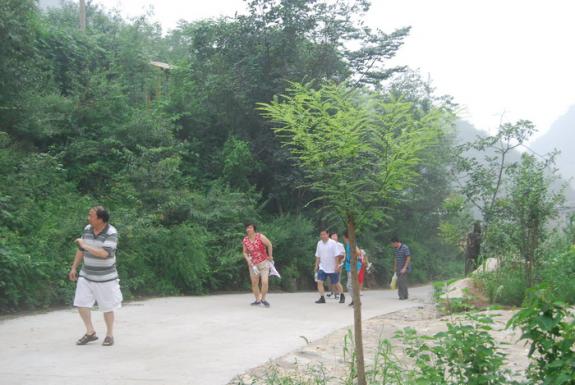 周末休闲桃花谷 避暑凝情笔墨香（记京城宗亲休闲聚）更新：宗亲纪事.jpg