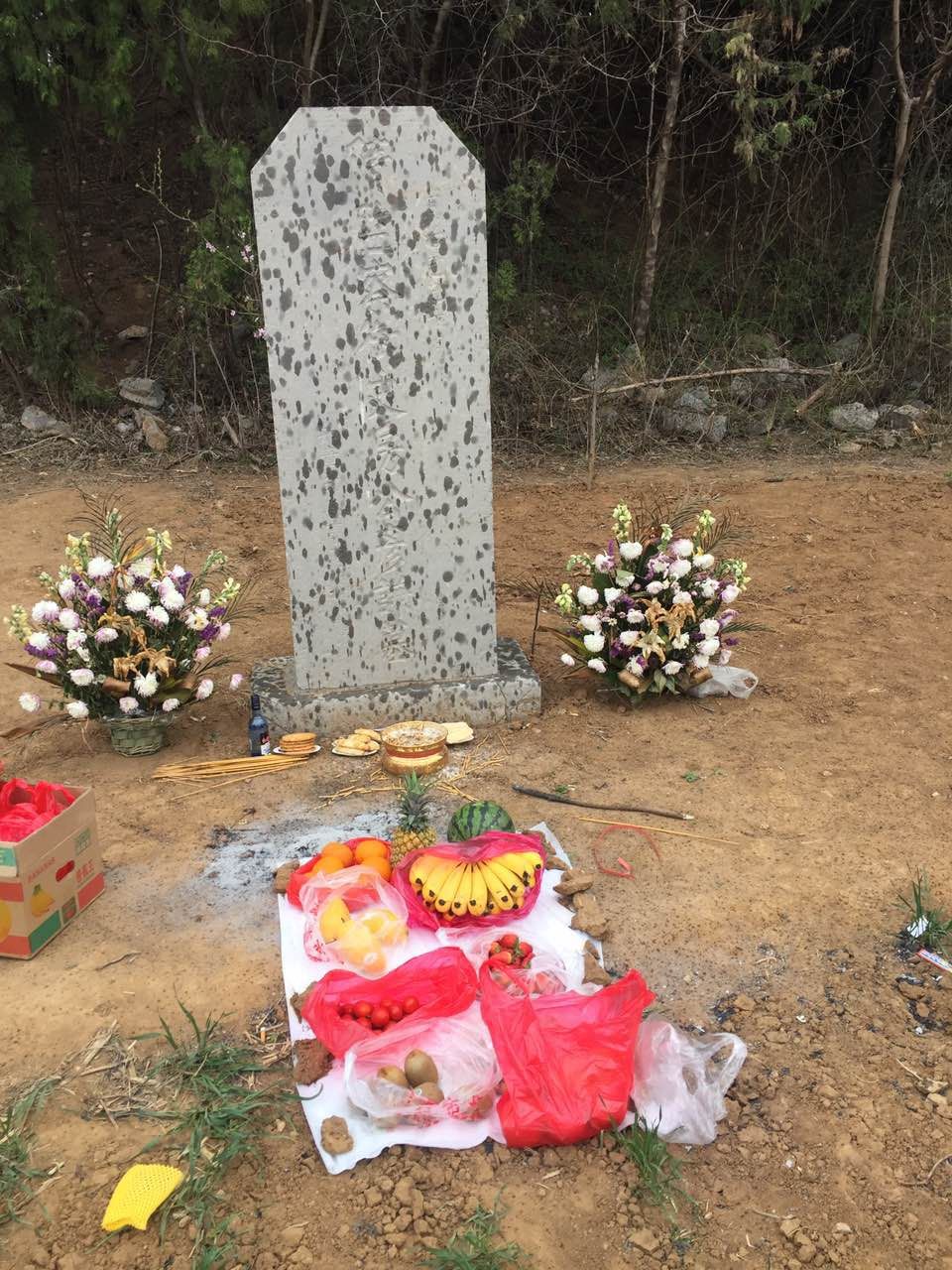 【爱宗敬祖】三月桃花开 枣庄代表冒雨驱车拜祭房彦谦、清河房太夫人：房氏迁徙与分布.jpg