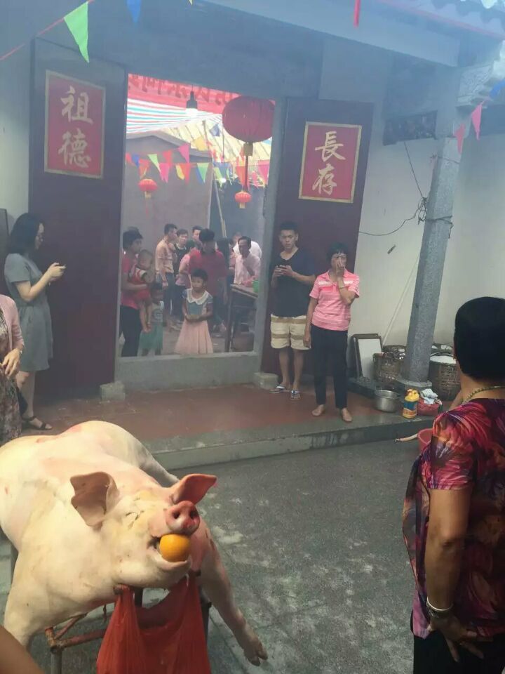神泉房氏8月22日入祠花絮：房氏迁徙与分布.jpg