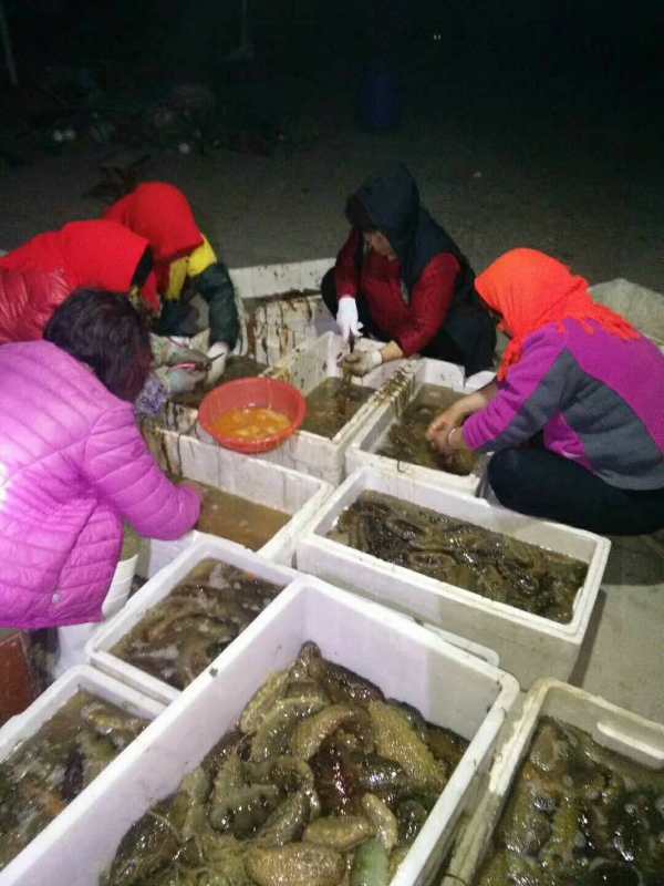 【帮扶平台】房氏商贸合作平台初见成效：宗亲纪事.jpg