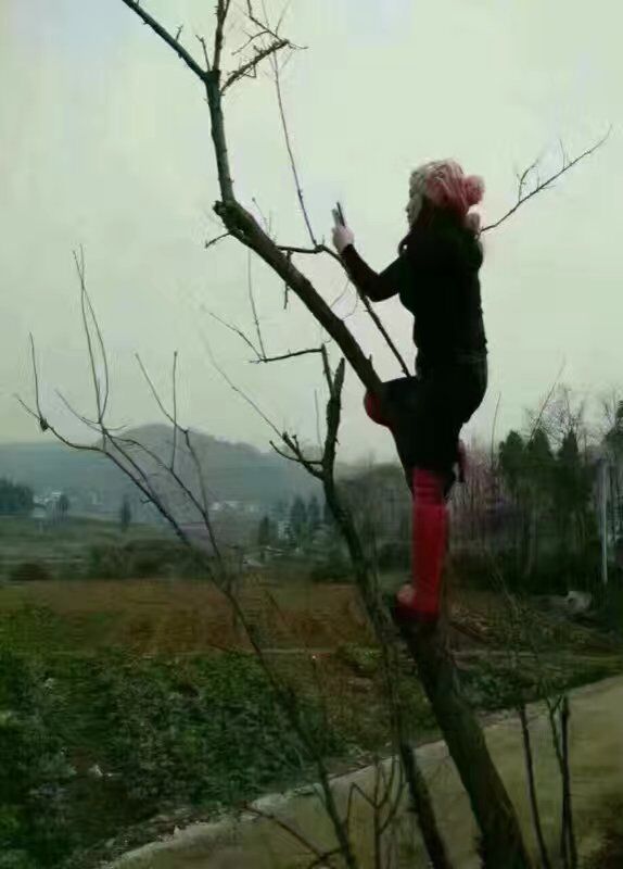 集】各地房家人过新年.jpg