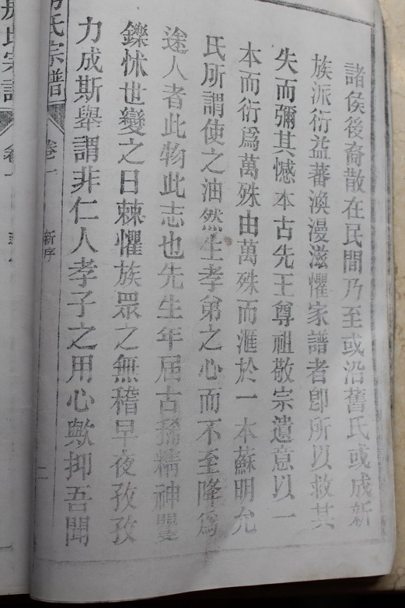 黄山会议期间，志阳宗亲提供的桐城家谱（部分）：房氏谱牒资料.jpg