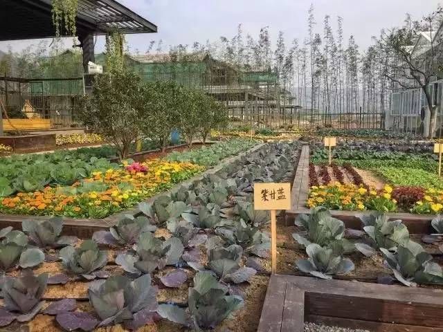 【活动总结】寒冬给房氏老年宗亲送温暖：宗亲纪事.jpg