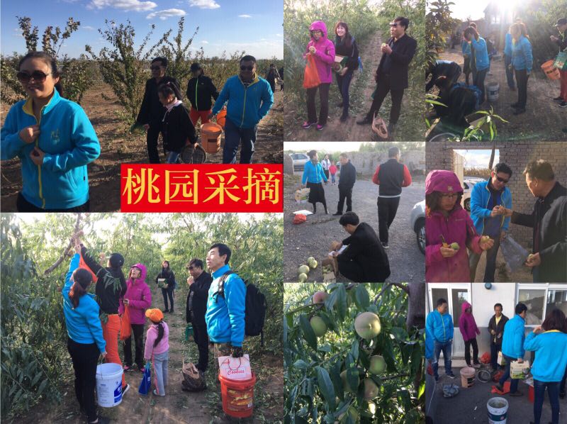 【联谊互动】青岛房氏宗亲会“感受田园风光，体验采摘乐趣”秋季采摘活动：宗亲纪事.jpg
