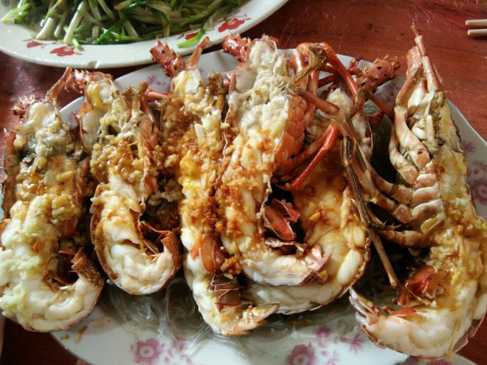 集】各地房家人过新年.jpg