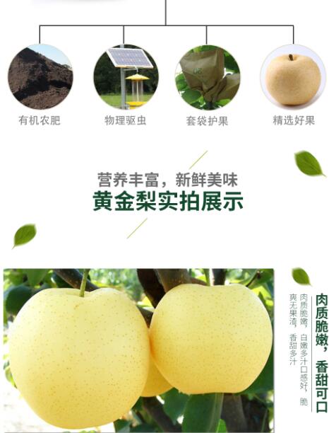 【特产】博望房氏黄金梨--值得用一年时间等待这一口甜美：房氏工商纪要.jpg