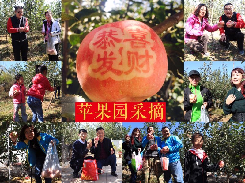 【联谊互动】青岛房氏宗亲会“感受田园风光，体验采摘乐趣”秋季采摘活动：宗亲纪事.jpg