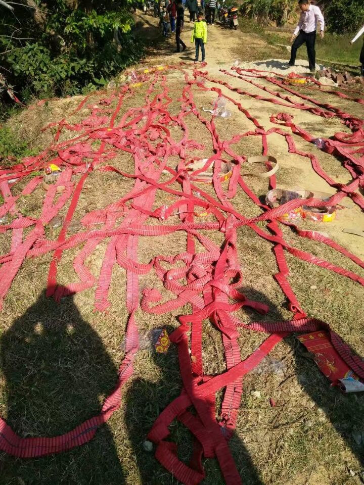 集】各地房家人过新年.jpg