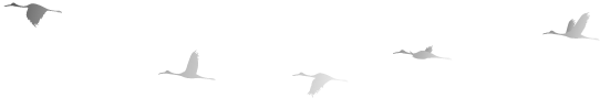 3bc27d14169cec323bc60f907876a3b4c680c8d3edf513df953964a826af2d15.png