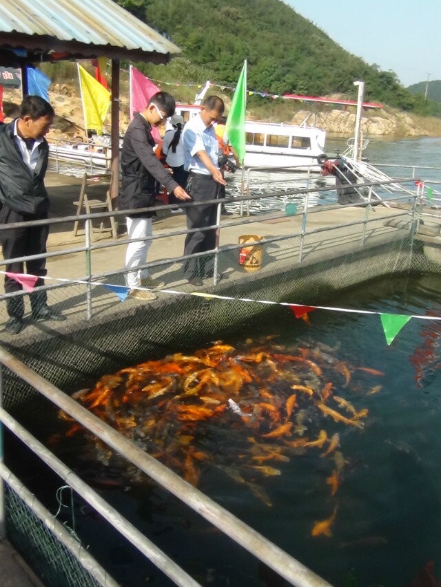 对胖子道生和所有宗亲的问候（文化资料整理）.jpg