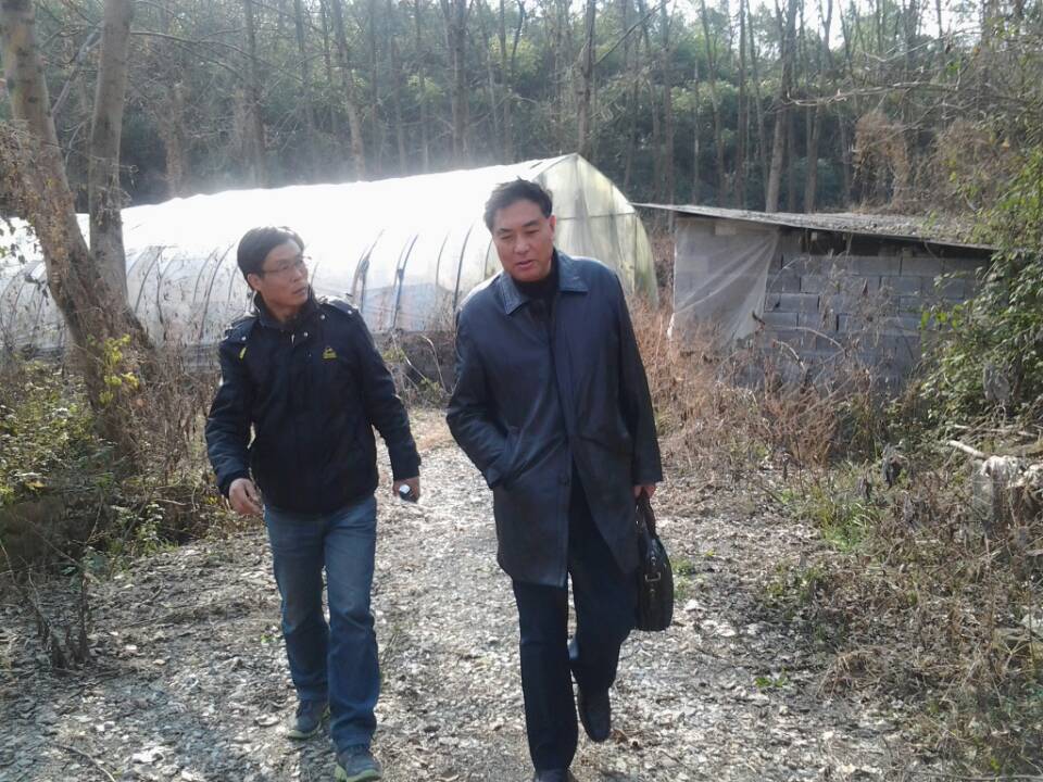 汪会长又上云岚山（文化资料整理）.jpg