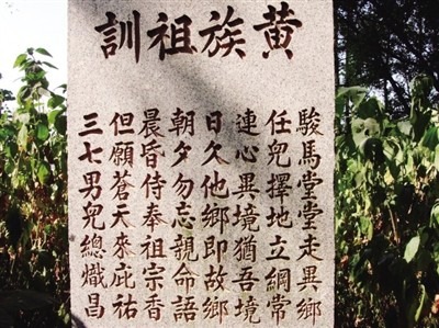 jp5000_61183e8a2e826d2a8f_00.jpg